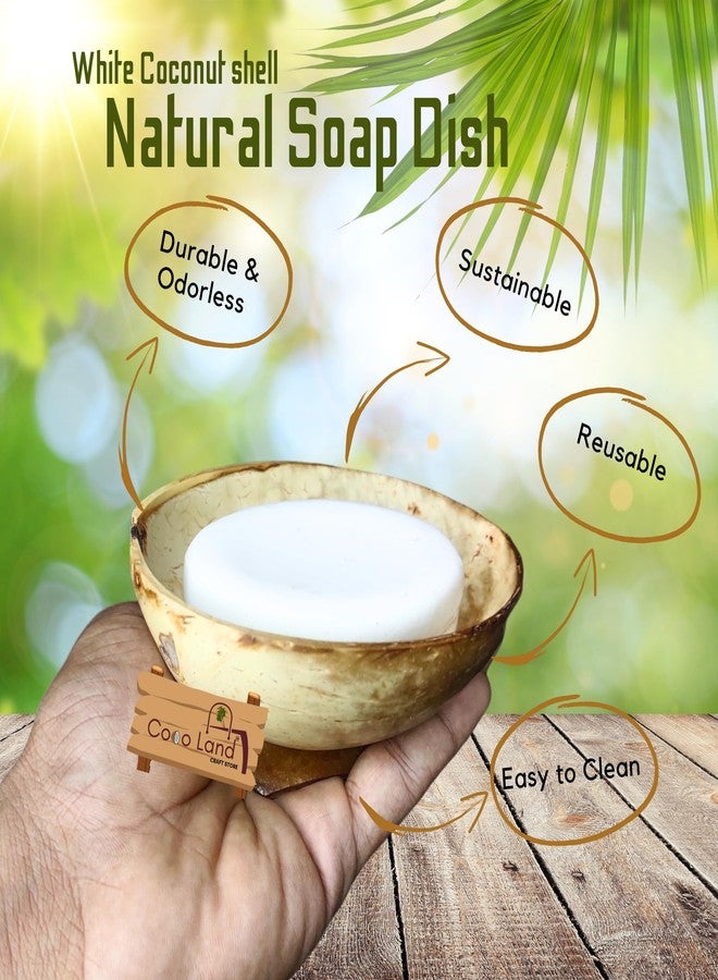 Coco Land White Coconut Shell SOAP Dish (Pack of 1) Coconut Oil Polished Natural Soap Pot/Soap Stand/Bathroom Decoratives/Soap Holder/Soap Case/Soap Box - Image 2